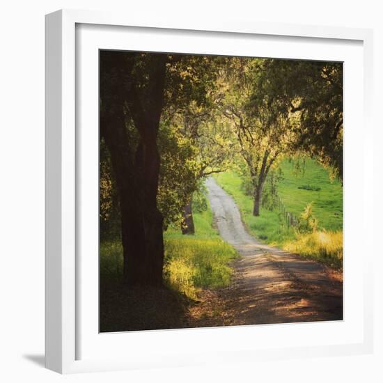 Springtime Afternoon-Lance Kuehne-Framed Photographic Print