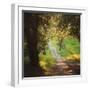 Springtime Afternoon-Lance Kuehne-Framed Photographic Print