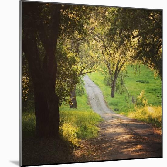 Springtime Afternoon-Lance Kuehne-Mounted Photographic Print