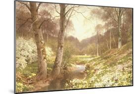 Springtime at Tillingbourne, Surrey-Harold S. Palmer-Mounted Giclee Print