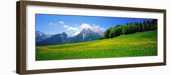 Springtime Bavarian Alps Germany-null-Framed Photographic Print