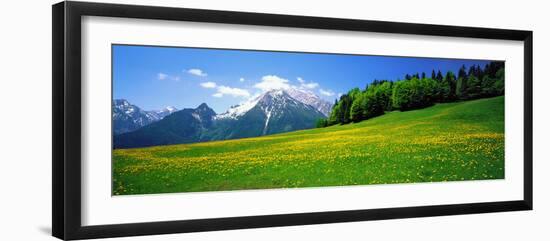 Springtime Bavarian Alps Germany-null-Framed Photographic Print