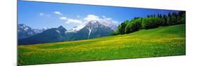 Springtime Bavarian Alps Germany-null-Mounted Photographic Print