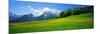 Springtime Bavarian Alps Germany-null-Mounted Photographic Print