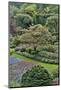 Springtime Butchart Gardens, Victoria, British Columbia, Canada-Darrell Gulin-Mounted Photographic Print