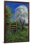 Springtime by the Stile, 2013-Anthony Rule-Framed Giclee Print