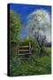 Springtime by the Stile, 2013-Anthony Rule-Stretched Canvas