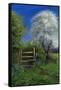 Springtime by the Stile, 2013-Anthony Rule-Framed Stretched Canvas
