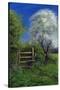 Springtime by the Stile, 2013-Anthony Rule-Stretched Canvas