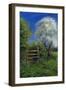 Springtime by the Stile, 2013-Anthony Rule-Framed Giclee Print