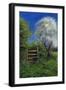 Springtime by the Stile, 2013-Anthony Rule-Framed Giclee Print