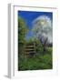 Springtime by the Stile, 2013-Anthony Rule-Framed Giclee Print