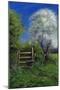 Springtime by the Stile, 2013-Anthony Rule-Mounted Giclee Print