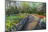 Springtime Colors and Pathway in Kuekenhof Gardens with Hyacinths, Daffodils, Tulips Holland-Darrell Gulin-Mounted Photographic Print