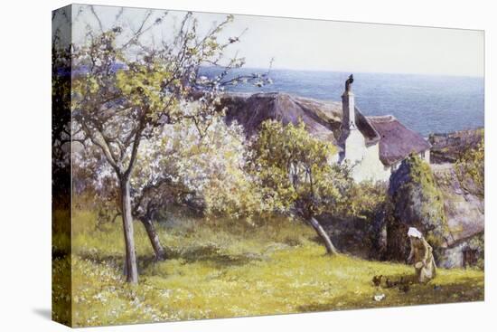 Springtime, Devon-John White-Stretched Canvas