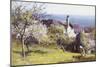 Springtime, Devon-John White-Mounted Giclee Print