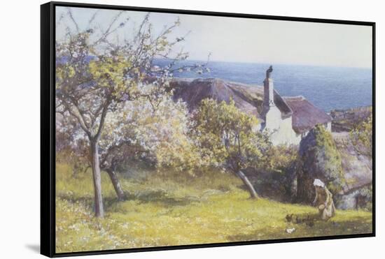 Springtime, Devon-John White-Framed Stretched Canvas