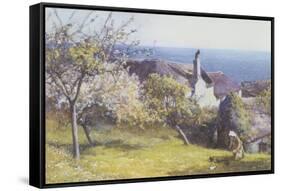 Springtime, Devon-John White-Framed Stretched Canvas