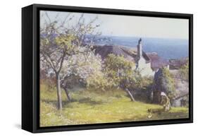 Springtime, Devon-John White-Framed Stretched Canvas