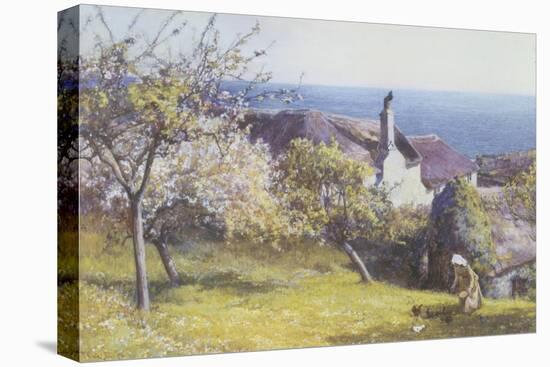 Springtime, Devon-John White-Stretched Canvas