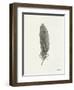 Springtime Feather II-Sara Zieve Miller-Framed Art Print