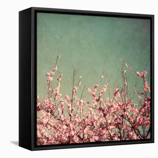 Springtime I-Susan Bryant-Framed Stretched Canvas