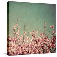 Springtime I-Susan Bryant-Stretched Canvas