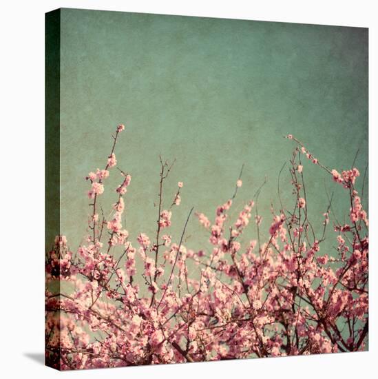 Springtime I-Susan Bryant-Stretched Canvas