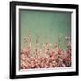 Springtime I-Susan Bryant-Framed Photographic Print