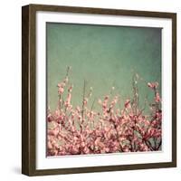 Springtime I-Susan Bryant-Framed Photographic Print