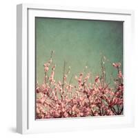 Springtime I-Susan Bryant-Framed Photographic Print