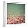 Springtime I-Susan Bryant-Framed Photographic Print