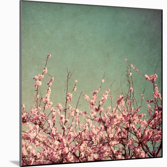 Springtime I-Susan Bryant-Mounted Photographic Print