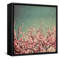 Springtime II-Susan Bryant-Framed Stretched Canvas