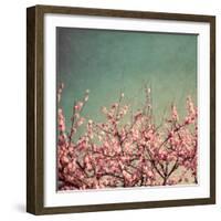 Springtime II-Susan Bryant-Framed Photographic Print