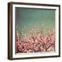 Springtime II-Susan Bryant-Framed Photographic Print