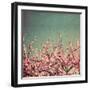 Springtime II-Susan Bryant-Framed Photographic Print