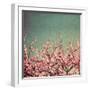 Springtime II-Susan Bryant-Framed Photographic Print