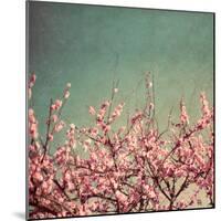 Springtime II-Susan Bryant-Mounted Photographic Print