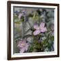 Springtime II-Sarah Gardner-Framed Art Print