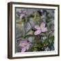 Springtime II-Sarah Gardner-Framed Art Print