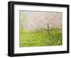 Springtime Impression-kirilstanchev-Framed Art Print