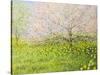 Springtime Impression-kirilstanchev-Stretched Canvas