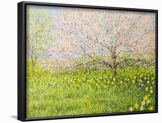 Springtime Impression-kirilstanchev-Framed Art Print