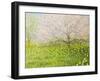 Springtime Impression-kirilstanchev-Framed Art Print