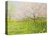 Springtime Impression-kirilstanchev-Stretched Canvas