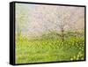 Springtime Impression-kirilstanchev-Framed Stretched Canvas
