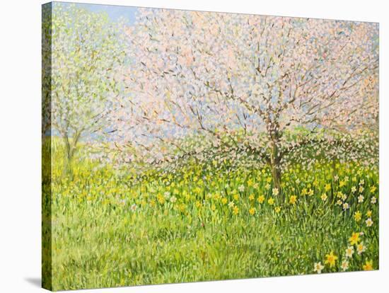 Springtime Impression-kirilstanchev-Stretched Canvas