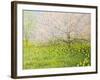 Springtime Impression-kirilstanchev-Framed Art Print