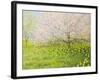 Springtime Impression-kirilstanchev-Framed Art Print